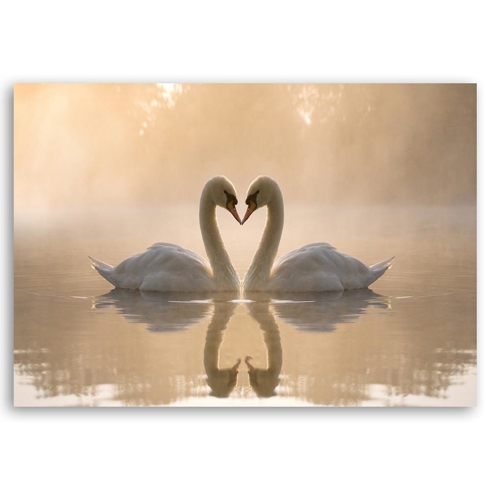 Emaga Obraz na płótnie, Łabędzie na stawie boho - 90x60